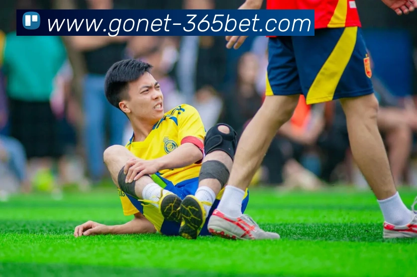 365bet平台生态图