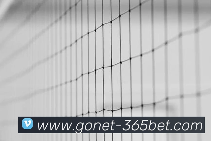 365bet全站App 365bet全站App